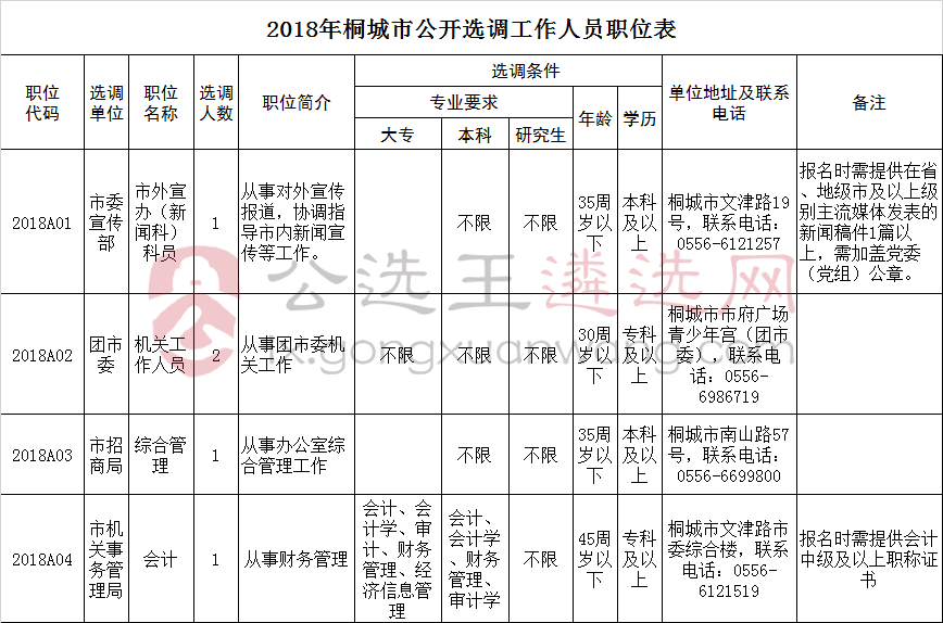 2018年桐城市公开选调工作人员职位表.jpg