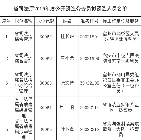 安徽省司法厅2019年度公开遴选公务员拟遴选人员公示.png