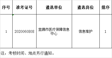 市医疗保障局考核名单.png