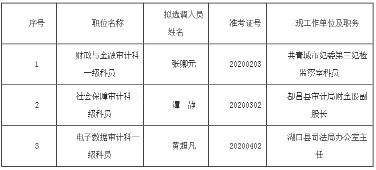 九江市审计局公开选调公务员拟选调人员.jpg