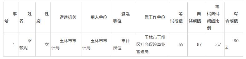 玉林市审计局.jpg