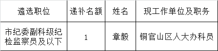 铜陵市市直机关2015年公开遴选公务员考察对象递补公告.png