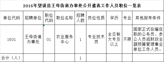 2016年望谟县王母街道办事处公开遴选工作人员职位一览表.png