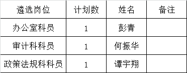 2015年衡阳市人民政府国有资产监督管理委员会公开集中遴选公务员拟录用人员名单.png