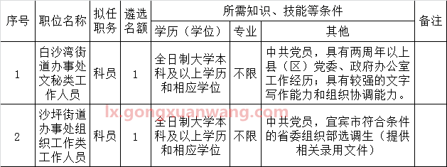 宜宾临港经济技术开发区公开考调基层公务员职位计划表.png