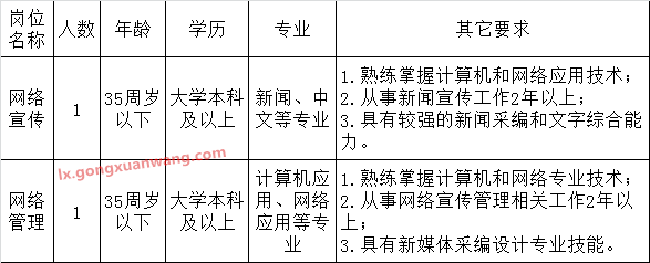 岳阳市网管中心公开选调工作人员岗位条件.png