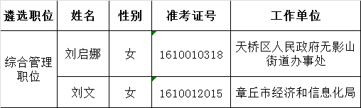 2016年济南市市直机关公开遴选公务员拟任用人员公示(济南市政务服务中心管理办公室综合管理职位).png