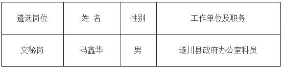 吉安市政府办公室公开遴选工作人员拟遴选人员公示.jpg